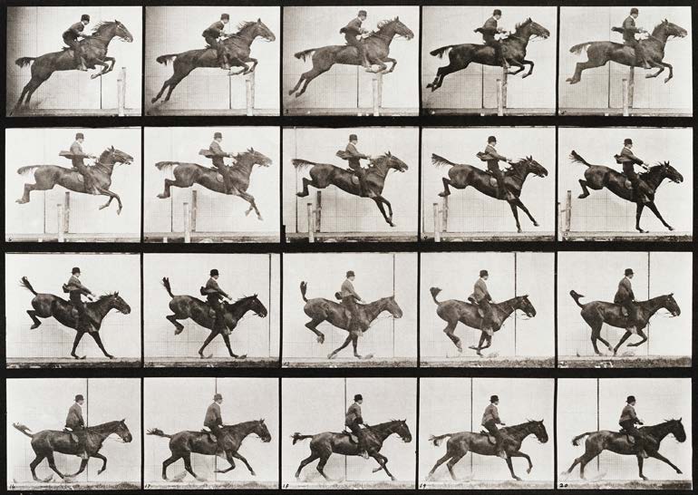 3AP7117 - Eadweard Muybridge - Animal Locomotion, Plate 637