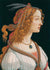 3SB7368 - Sandro Botticelli - Ritratto di giovane donna come ninfa