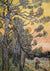 3VG7131 - Vincent van Gogh - Pine Trees at Sunset