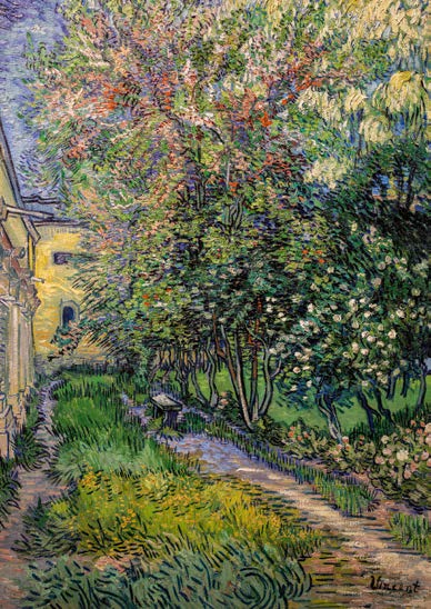 3VG7132 - Vincent van Gogh - The garden at the asylum at Saint-Rémy