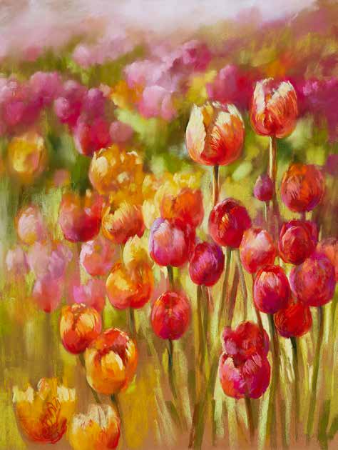 3NW5844 - Nel Whatmore - Tulip Sea